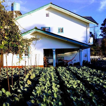 Vibe Way Hotell Nuwara Eliya Exteriör bild