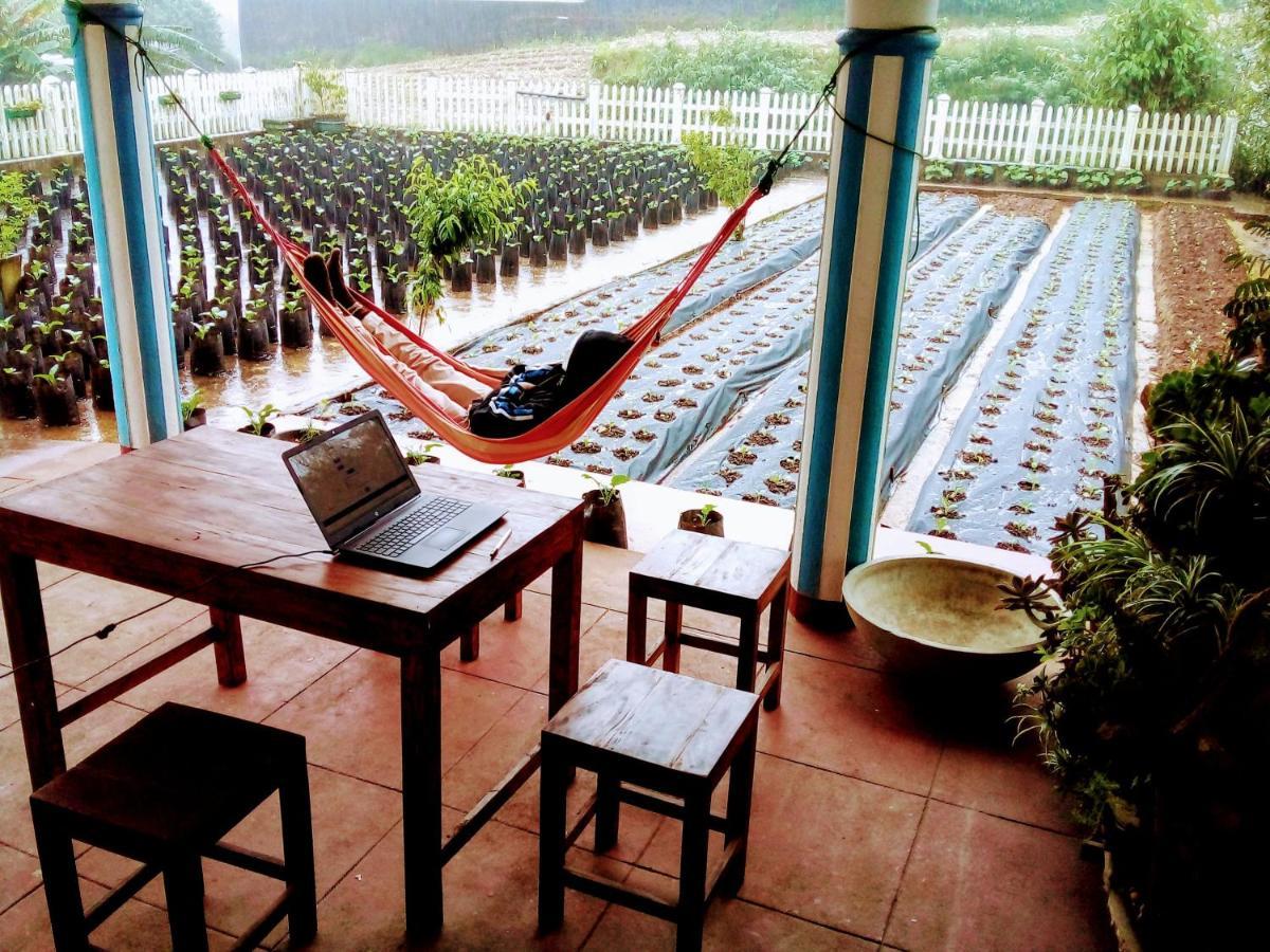 Vibe Way Hotell Nuwara Eliya Exteriör bild
