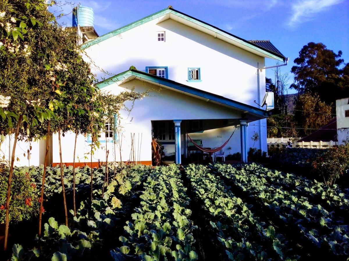 Vibe Way Hotell Nuwara Eliya Exteriör bild