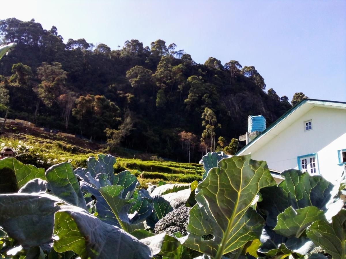 Vibe Way Hotell Nuwara Eliya Exteriör bild