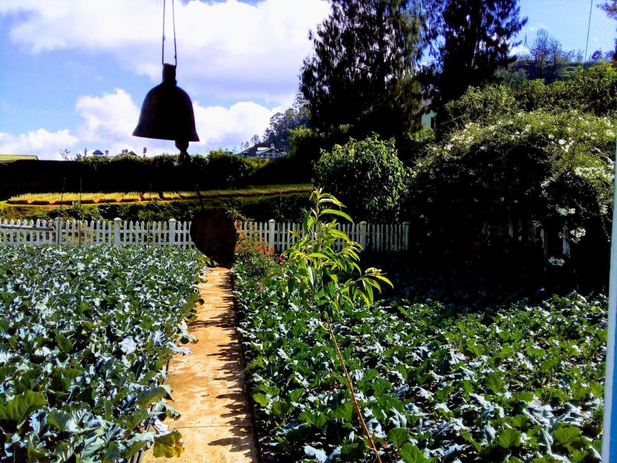 Vibe Way Hotell Nuwara Eliya Exteriör bild