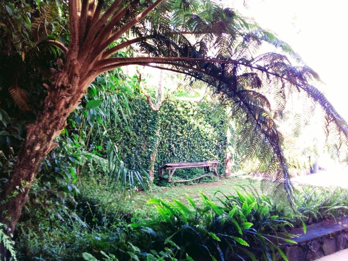 Vibe Way Hotell Nuwara Eliya Exteriör bild