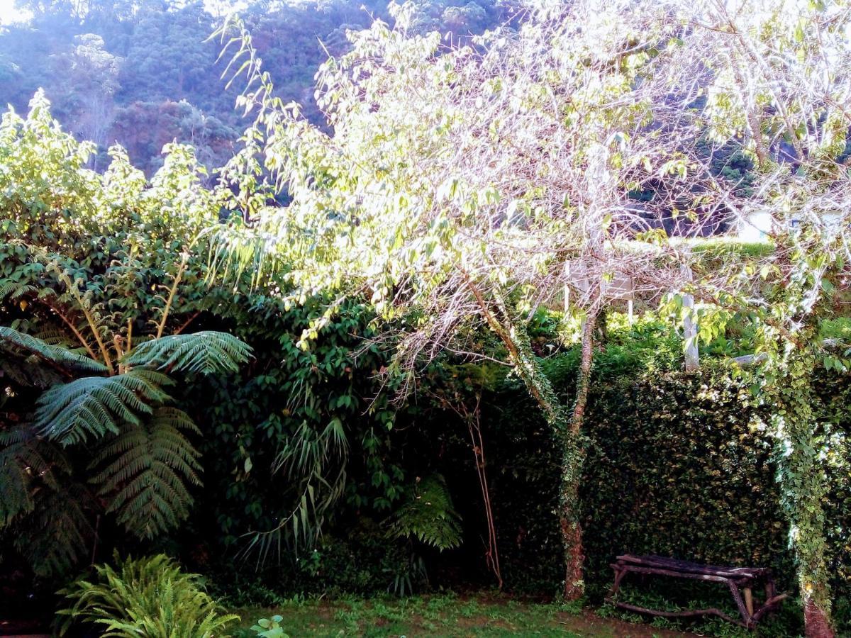 Vibe Way Hotell Nuwara Eliya Exteriör bild